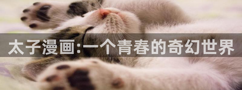 漫漫漫画在线观看免费版完整韩漫